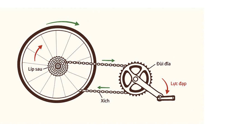 hệ thống truyền lực