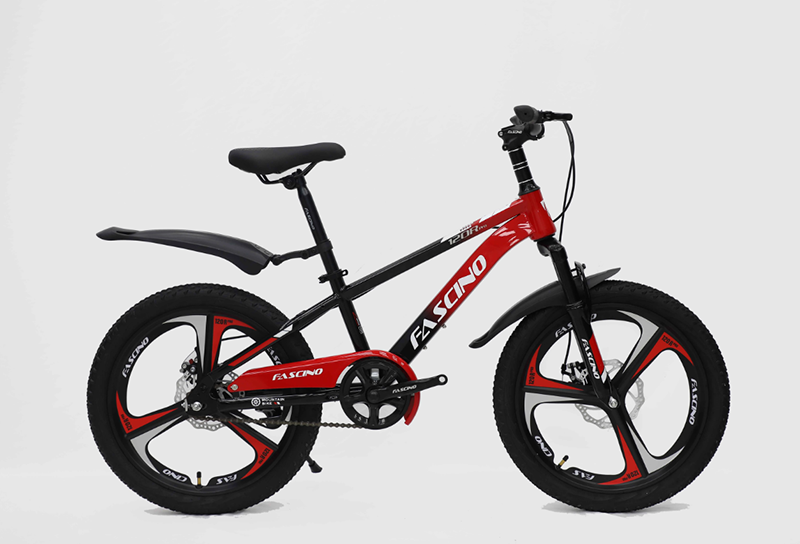 Xe Đạp Địa Hình Fascino 120R Pro Bánh 20 Inch Khung Thép 19 Xe đạp FASCINO 120R Pro bánh 20 inch màu đen đỏ