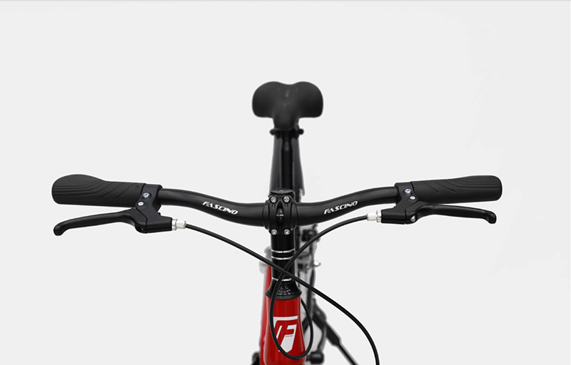 Xe Đạp Địa Hình Fascino 120R Pro Bánh 20 Inch Khung Thép 17 Ghi đông thép cường lực xe đạp FASCINO 120R Pro