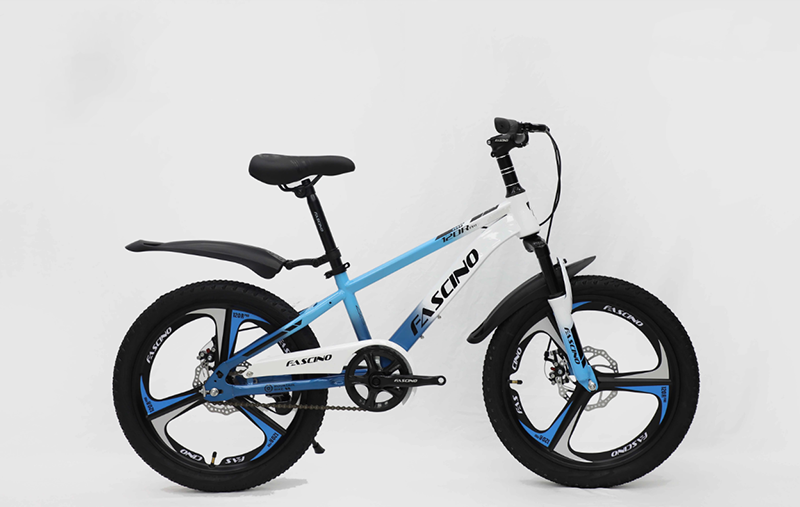 Xe Đạp Địa Hình Fascino 120R Pro Bánh 20 Inch Khung Thép 25 Xe đạp địa hình FASCINO 120R Pro màu xanh trắng
