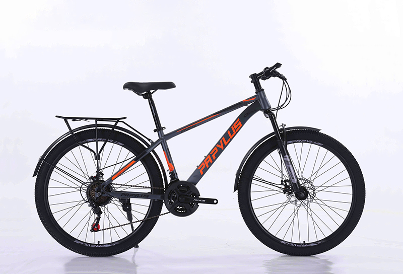 Xe Đạp Địa Hình Papylus PZ4 New Bánh 26 Inch Khung Thép Cường Lực 13 Xe Đạp Địa Hình FASCINO 126 PRO Bánh 26 Inch Khung Thép