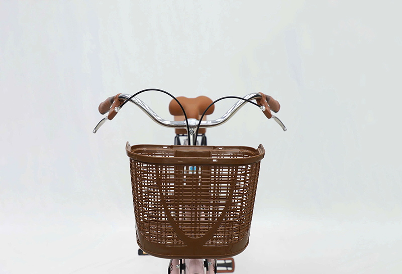 Xe Đạp Mini Fascino Kitty 26 - khung Thép, Sơn Tĩnh Điện, Cáp Âm Khung 15 Xe Đạp Mini Fascino Kitty 26 - khung Thép, Sơn Tĩnh Điện, Cáp Âm Khung