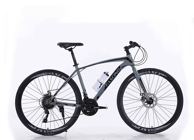 Xe Đạp Touring Fascino FT700 Pro Bộ Truyền Động Groupset SUNRISE 3x7 Tốc Độ 10 Tông xám giữ tổng thể FASCINO FT700 Pro trầm và dễ phối