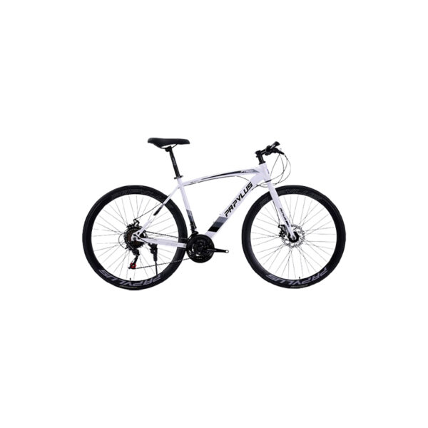 Xe Đạp Touring Papylus PT500 Bộ Truyền Động 21 Tốc Độ phù hợp với đi đường phố