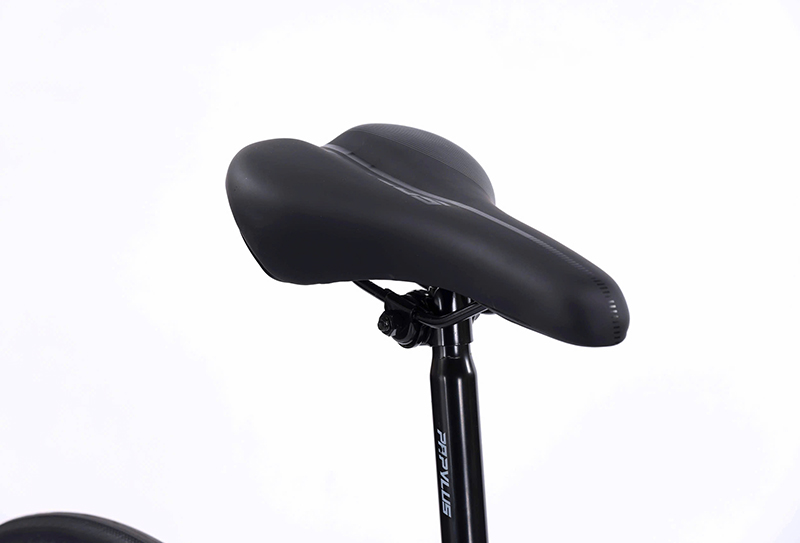 Xe Đạp Touring Papylus PT600 - Khung Nhôm Siêu Nhẹ Không Mối Hàn 17 Yên mút bọc da mềm dành cho nhu cầu sử dụng hằng ngày