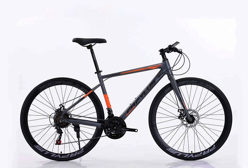 Xe Đạp Touring Papylus PT600 - Khung Nhôm Siêu Nhẹ Không Mối Hàn 10 Tông đất sét tạo diện mạo khác biệt cho Papylus PT600