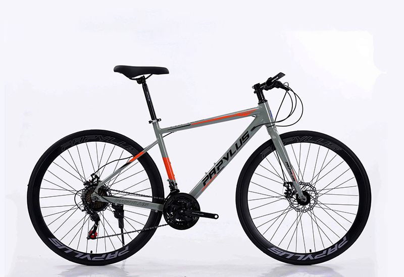 Xe Đạp Touring Papylus PT600 - Khung Nhôm Siêu Nhẹ Không Mối Hàn 19 Tông xám giữ tổng thể Papylus PT600 trung tính và hiện đại