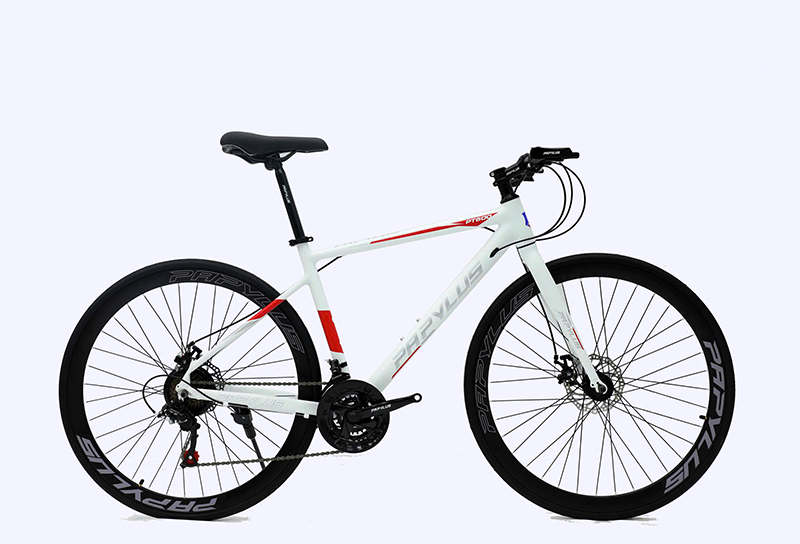 Xe Đạp Touring Papylus PT600 - Khung Nhôm Siêu Nhẹ Không Mối Hàn 18 Khung trắng giúp các đường nét touring của PT600 nổi rõ hơn