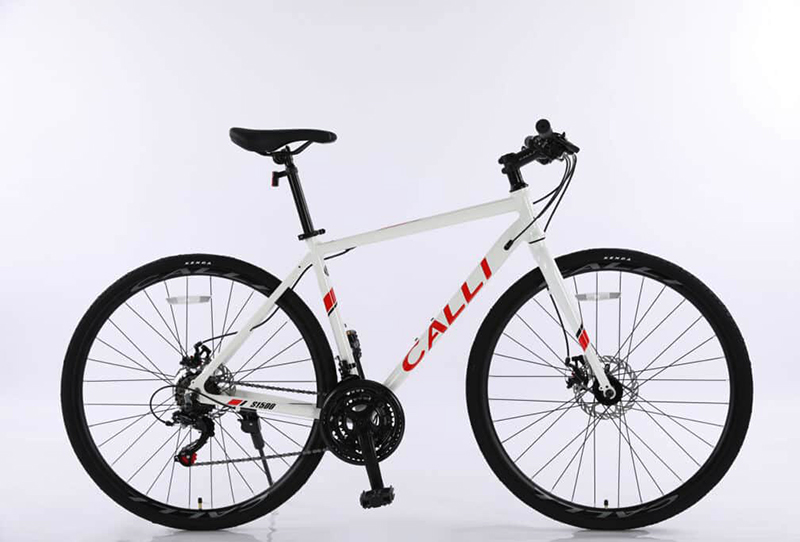 Xe Đạp Touring Calli S1500 - Khung Hợp kim Nhôm - 21 Tốc Độ 10 Xe Đạp Touring Calli S1500 - Khung Hợp kim Nhôm - 21 Tốc Độ
bảo hành khung sườn 5 năm, hỗ trợ lắp đặt miễn phí, liên hệ 0902330236 để được tư vấn 24/7
