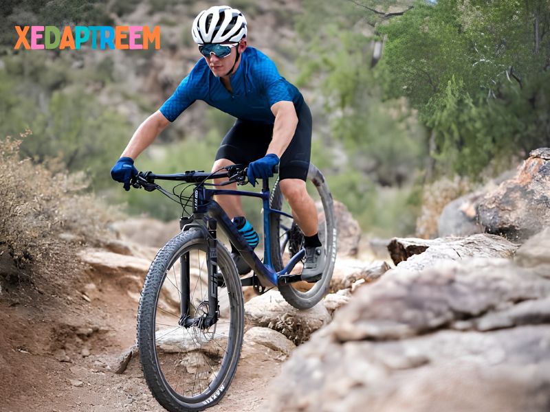 Xe đạp địa hình MTB với thiết kế thể thao